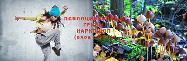 эйфоретик Баксан