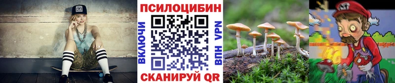 Купить  Норильск  Псилоцибиновые грибы Psilocybine cubensis 
